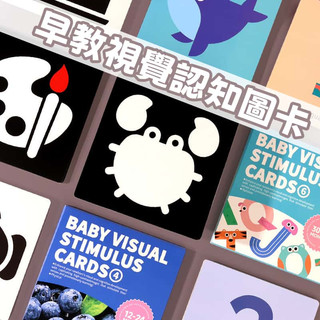 【台灣現貨】早教視覺認知圖卡 黑白卡 彩色卡 字幕卡 數字卡 視覺刺激 圖案認知卡 視覺追蹤 寶寶認知卡 圖案認知