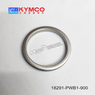 KYMCO光陽原廠 排氣管墊圈 NIKITA 刺激 J300 AK550 MXU K-XCT 18291-PWB1