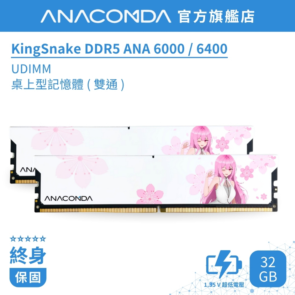 ANACOMDA巨蟒 KingSnake DDR5 6000 6400 32GB (16GBX2) 記憶體 安娜 ANA