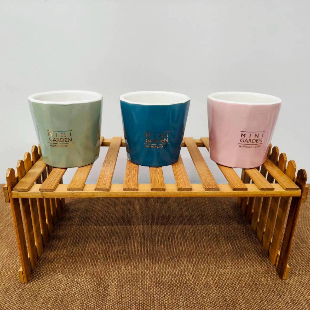 《固禾》生活工場｜水意植作(小)｜瓷器｜水耕｜花盆｜盆器｜花器｜盆栽｜植栽｜植物｜觀葉｜多肉｜免運｜隔日到