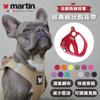 【martin】網狀透氣胸背帶（中小型犬專用）｜台灣製造 狗狗胸背帶 犬用胸背帶 寵物胸背帶