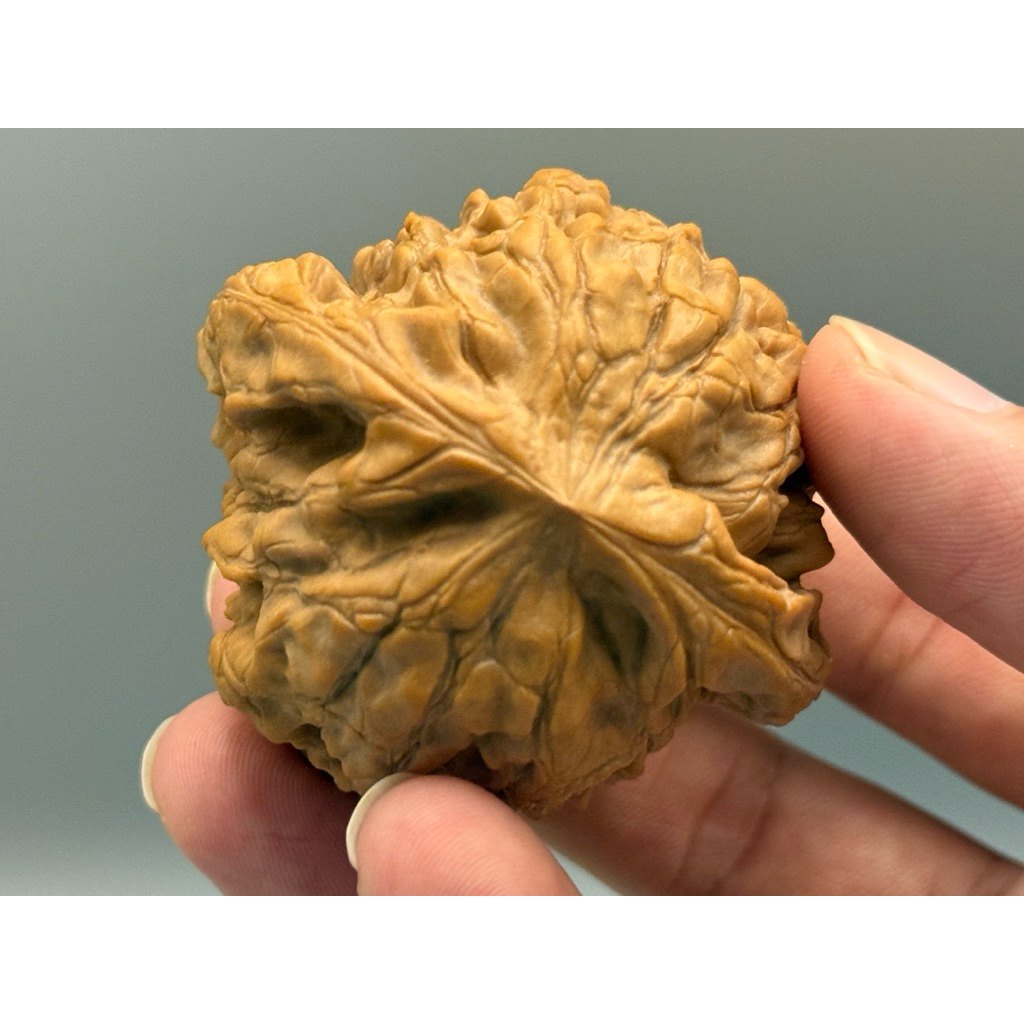 文玩堂：核鼎獅子頭文玩胡桃（高級精品） 龍鼎核桃的價格推薦- 2026年7月| 比價比個夠BigGo