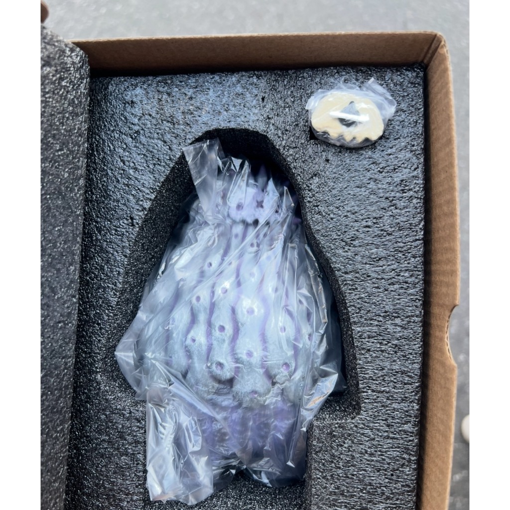 Copiapoa的價格推薦- 2026年7月| 比價比個夠BigGo
