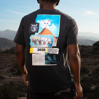 RIPNDIP NERM GEO TEE 水洗黑 中指貓 台灣總代理-ALL