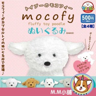 【M.M小舖】『預購』 4月 AMUSE 轉蛋 扭蛋 貴賓狗mocofy玩偶吊飾 貴賓狗 毛絨 吊飾 全4款