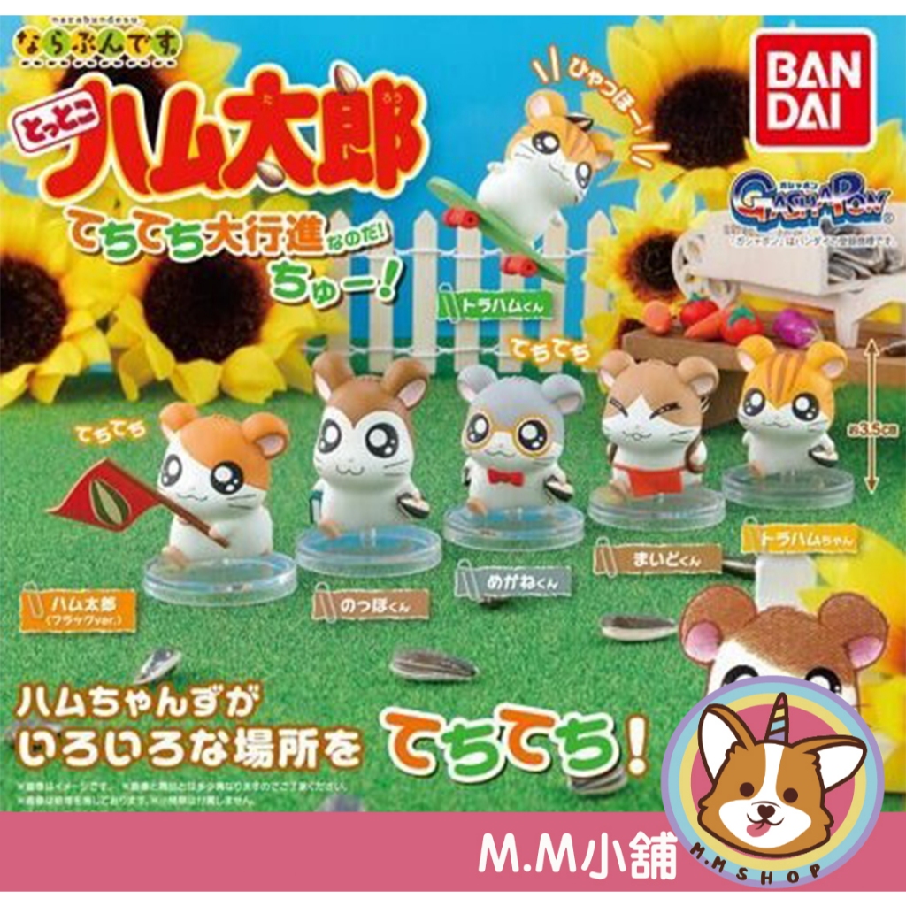 【M.M小舖】『現貨』 BANDAI 轉蛋 扭蛋 哈姆太郎排隊公仔 P2 2 哈姆太郎 排隊 排排站 站著 全6款