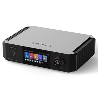 eversolo DMP-A10 數位串流播放器 國祥公司貨