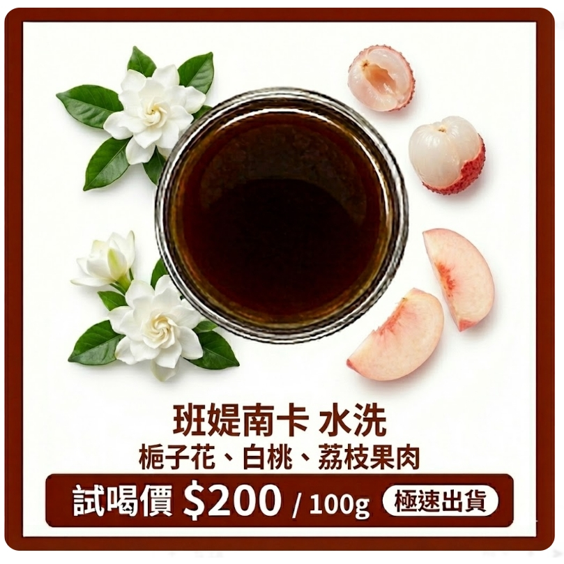 【經典水洗】衣索比亞 古吉 班媞南卡 咖啡豆 100g | 圓石 白桃 荔枝果肉 梔子花