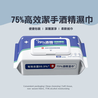 75%酒精濕巾 75%酒精濕巾 80抽 消毒殺菌 隨身包 加厚濕紙巾 酒精棉片 抗菌擦巾 大包裝 樂邦 樂邦