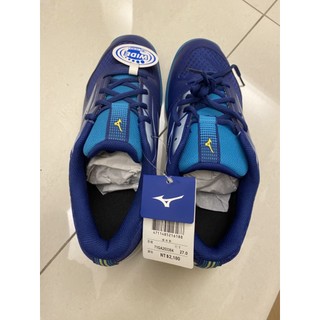 美津濃MIZUNO 寬楦 SKY BLASTER 3初階 羽球鞋 羽球 桌球71GA253304