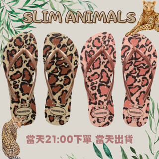 現貨秒出 中壢實體店面 Havaianas哈瓦士 夾腳拖／人字拖鞋 2021 SLIM ANIMALS 女款 豹紋 沙灘