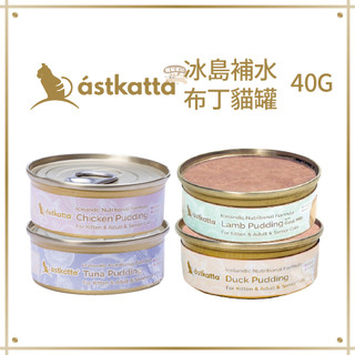 astkatta 冰島 補水布丁貓罐 40g