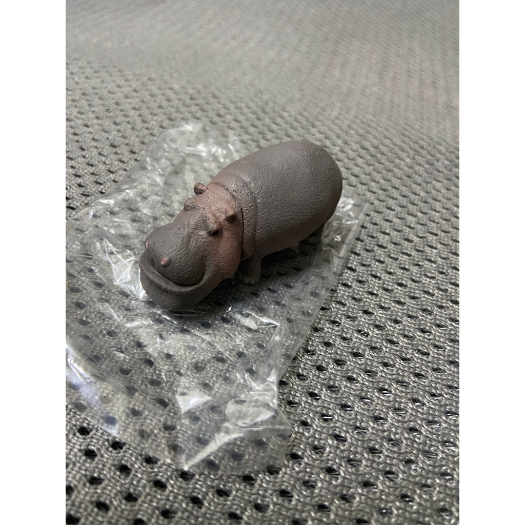 戽斗星球河馬的價格推薦- 2026年1月| 比價比個夠BigGo