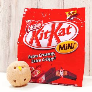 COSTCO 好市多 德國 雀巢 奇巧 Nestle KitKat Mini 巧克力威化餅 威化餅 巧克力 可可 家庭包