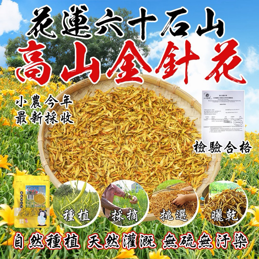 10倍蝦幣回饋 花蓮六十石山🏞台灣高山金針花