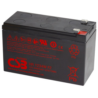 全新CSB HR-1234W 不斷電系統UPS CP1500PFCLCD、APC BR1000 專用電池