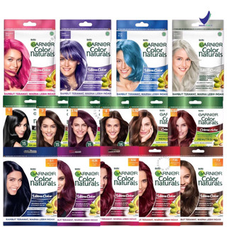Garnier Hair Color Natural