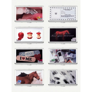 𝐏𝐀𝐍𝐃𝐀 韓國代購 SAGEGA Metal Clip Case (8types)