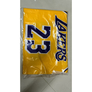 lebron James nba lakers nike jersey 湖人 球員版 球衣 背心 籃球 全新含吊牌
