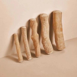 德國 CANOPHERA 天然咖啡木咬咬棒 磨牙棒 耐咬啃咬玩具 狗