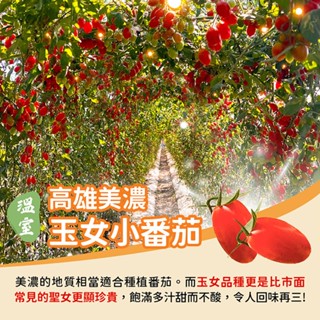 【家購網嚴選】 高雄美濃溫室玉女小番茄禮盒 4斤/盒