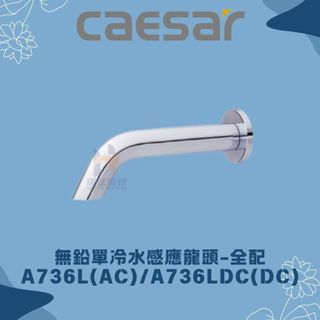 凱撒 CAESAR A736L A736LDC 無鉛單冷水感應龍頭 全配 感應龍頭 無排水部 凱撒龍頭 龍頭
