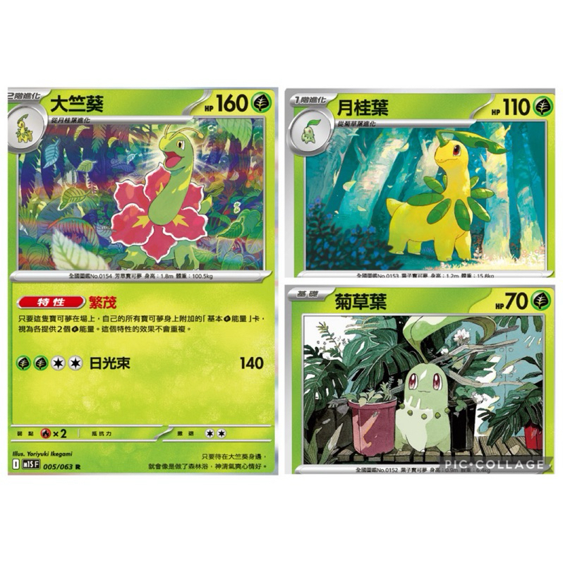 滿百出貨｜大竺葵特性繁茂 月桂葉 菊草葉 超級交響樂🐸ptcg中文版寶可夢卡牌