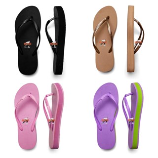 Havaianas Slim Logo 素色基本款 三公分中厚跟 女款 鬆糕硬底 哈瓦仕拖鞋 人字拖 夾腳拖鞋