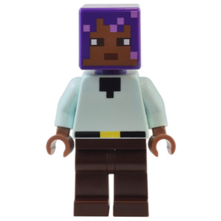 【小荳樂高】 LEGO 麥塊 Minecraft Efe (21253原裝人偶) min159
