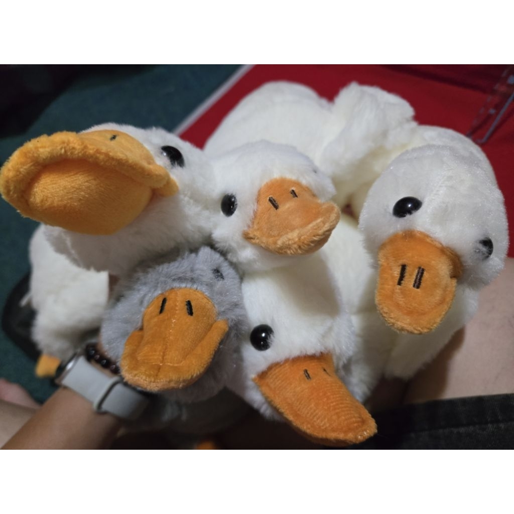 鵝鵝鵝鵝鵝娃娃 布娃娃 鵝鵝大軍 填充娃娃