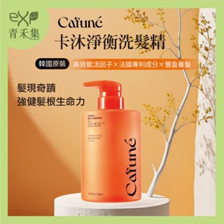 青禾集 │Cafune韓國 │卡沐淨衡洗髮精 髮根強健 澎鬆 何首烏養髮 適合細軟髮 易斷裂 臺灣總代理 交換禮物