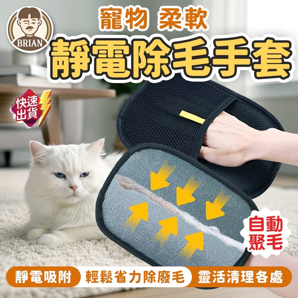 靜電除毛手套【布萊恩👨🏻隔日到貨】寵物除毛手套 除廢毛手套 除毛手套 除貓毛手套 衣物除毛手套 貓毛清理器 寵物用品
