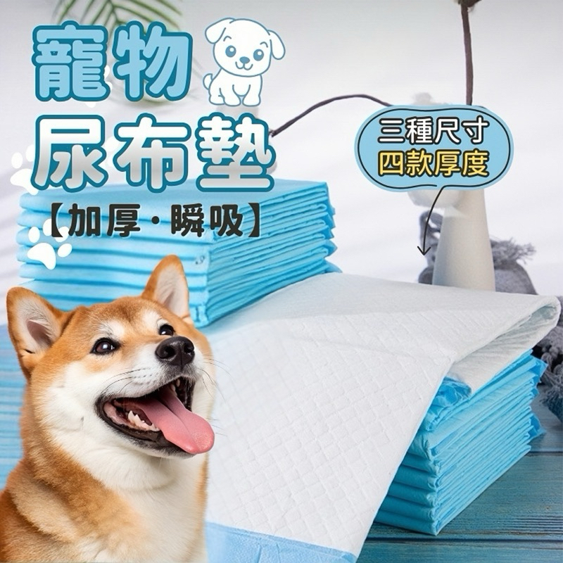 【菓拉小舖】24H台灣出貨💓寵物尿布墊 超吸水 加厚款寵物尿布 狗狗尿布墊 狗尿墊 吸水尿墊 高品質尿布墊 狗尿布墊