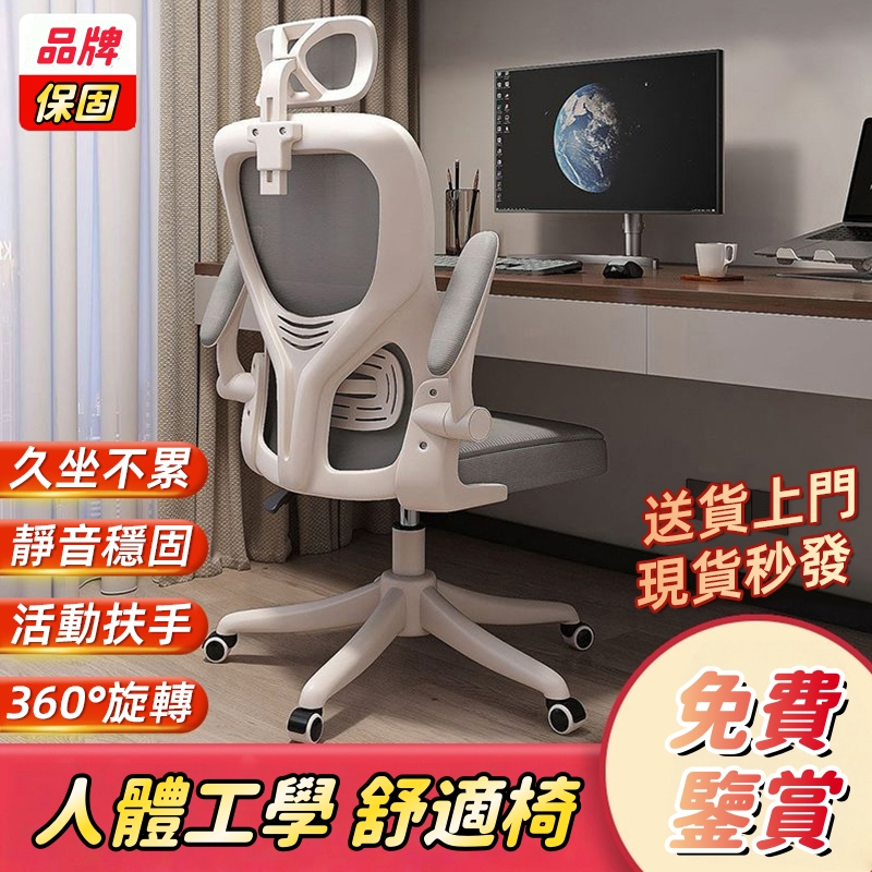 隔日達【小不記正品+發票】加厚乳膠 電腦椅 人體工學椅 書桌椅 電競椅 旋轉椅 辦公椅 升降椅 會議椅 網椅 乳膠椅椅子