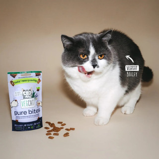 VEGCAT 純素 貓咪餅乾零食 60g（含牛磺酸 低致敏性 創新發酵蛋白）效期2028/02/11