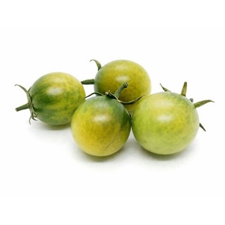 Green Doctors Tomato︱綠醫生番茄︱種子15顆