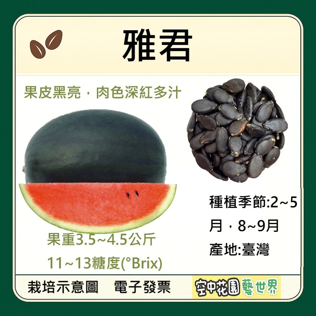 【台灣出貨 電子發票】雅君黑皮紅肉西瓜 種子 中西瓜 紅肉西瓜 黑皮西瓜 西瓜 菜籽 空中花園藝世界