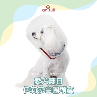 anifull 愛犬護目伊莉莎白圈頭套 狗退化 狗輔助 伊莉莎白頭套 犬用頭套 保護頭套 狗眼睛護具 狗頭套