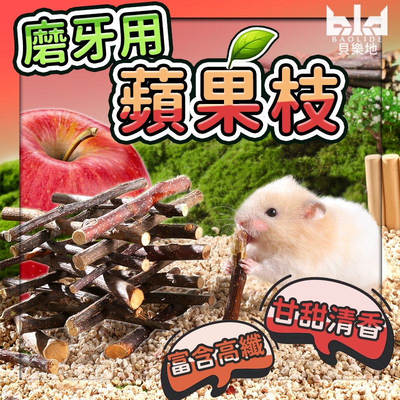 【蘋果香~小動物磨牙首選】小動物磨牙用蘋果枝 天然蘋果枝 磨牙樹枝 倉鼠磨牙 寵物磨牙用品 蘋果枝 磨牙棒 倉鼠磨牙棒