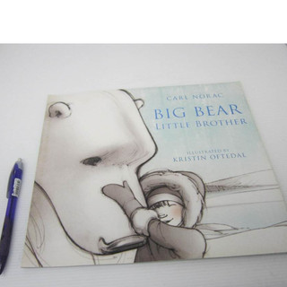 「二手書」Macmillan BIG BEAR LITTLE BROTHER 英文繪本 Carl Norac 平裝
