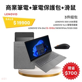 【電腦組合包】LENOVO 聯想V14 G4 14吋 商用筆電灰色 i3-1315U+筆電保護套 14.5吋+有線滑鼠