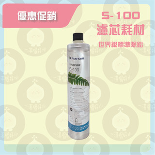 ［現貨］💚🤍美國愛惠浦 EVERPURE 標準家用型 S-100濾芯