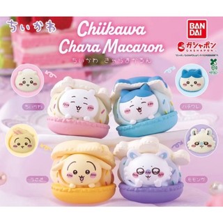 🍰chiikawa馬卡龍🍰免運 BANDAI扭蛋轉蛋 代購🌈吉伊卡哇馬卡龍 吉伊卡哇 小八 飛鼠 烏薩奇 公仔 模型