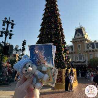 在台13-19暫停出貨隔日到🇭🇰香港迪士尼Duffy❄️冬日暖洋坐姿 玲娜貝兒 達飛家族 迪士尼吊飾 迪士尼掛件