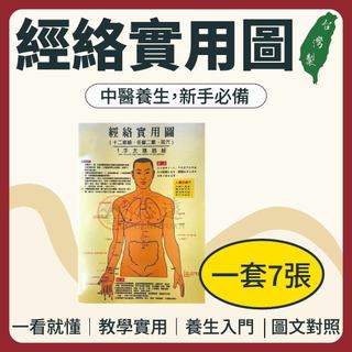 【志遠】經絡實用圖 十二經絡 任督二脈 耳穴 圖卡 教學圖卡 一套7張 中醫養生必備