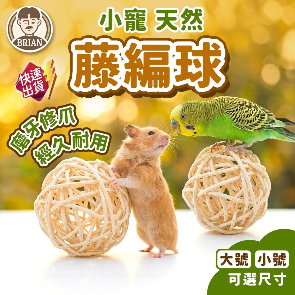 小寵藤編球【布萊恩👨🏻隔日到貨】包貓布 啃咬編織球 鳥玩具 鸚鵡啃咬藤球 倉鼠磨牙球 兔子玩具 藤編球 藤球