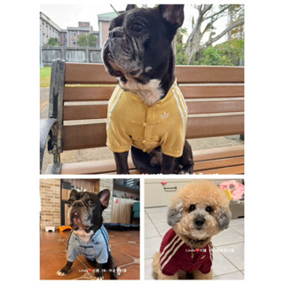 Linda❤️代購 Adidas Pet 新年 唐裝 寵物 狗 貓 寵物外套 KZ4782 KZ4781 KZ4779