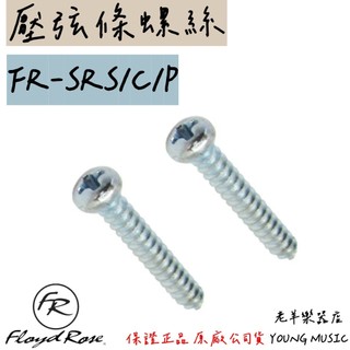 【老羊樂器店】德國 Floyd Rose FRSRSCP 壓弦條螺絲 Stree Tree 螺絲 (銀色) 電吉他零件