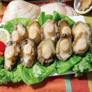 【鮮綠生活】精選熟凍鮑魚清肉(14g±10%/顆，10顆裝)