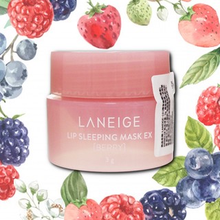 LANEIGE 蘭芝 晚安唇膜 莓果 3g (小) 唇膜 唇 保養 護唇膜 護唇 蘭芝唇膜【小三美日】D090128